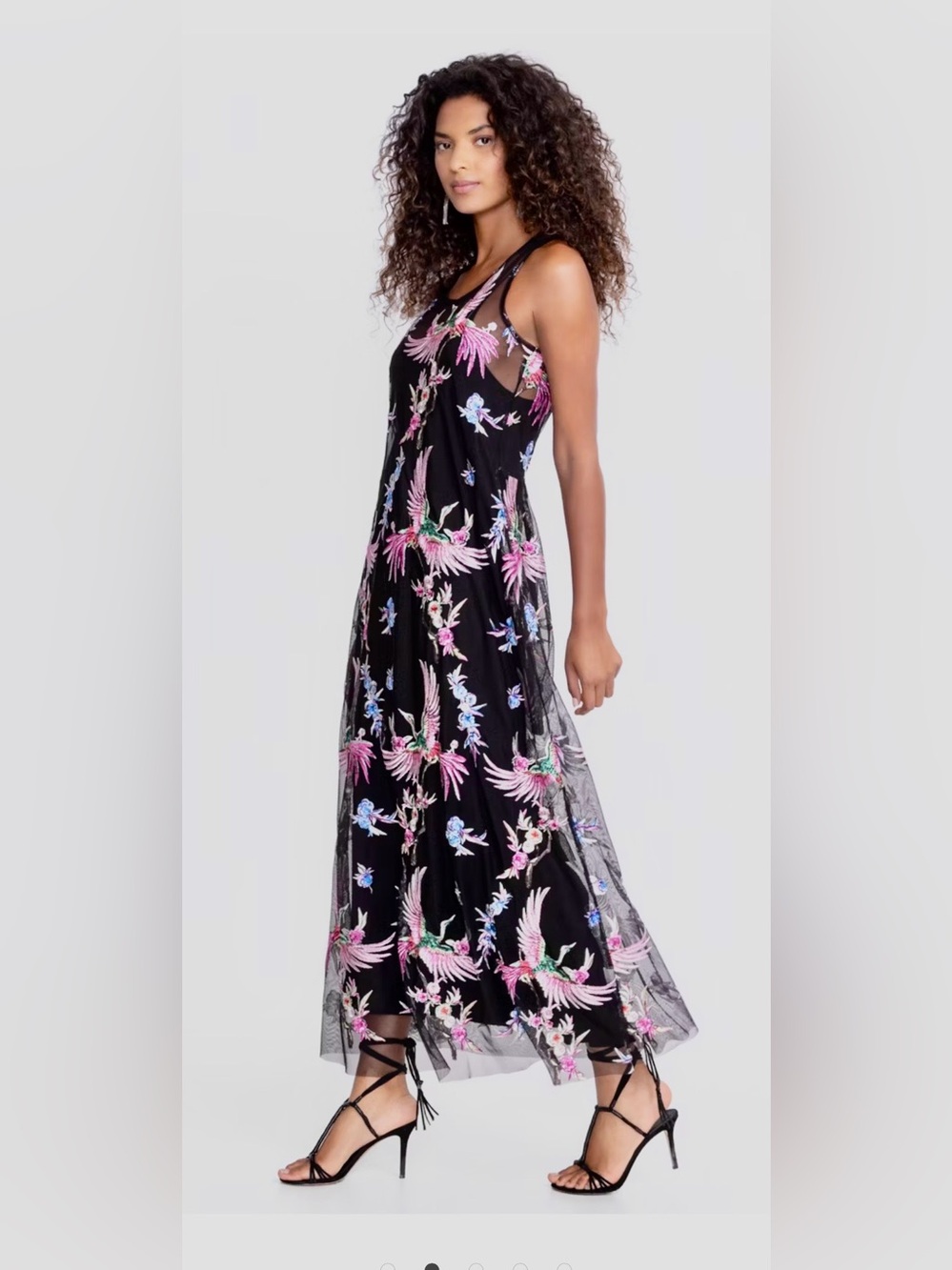Johnny Was -Meol Mazzy A line Mesh Bird of Paradise Embroidered Dress (Slip) - Picture 3 of 13